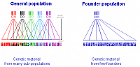 Founder population