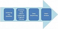 NGS workflow